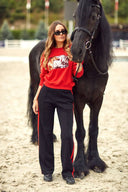 Костюм з вишивкою horse